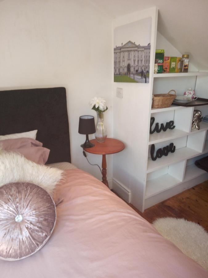 A Cosy Dublin Room Dış mekan fotoğraf